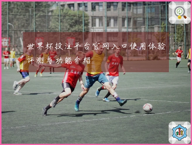 世界杯投注平台官网入口使用体验评测与功能介绍
