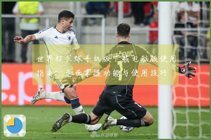 世界杯买球手机版下载电脑版使用指南：全面掌握功能与使用技巧