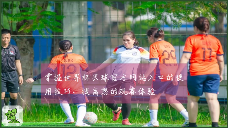 掌握世界杯买球官方网站入口的使用技巧，提高您的观赛体验