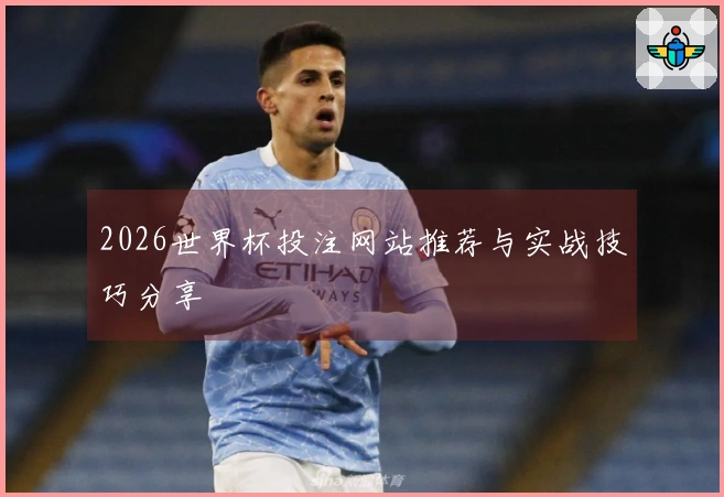 2026世界杯投注网站推荐与实战技巧分享
