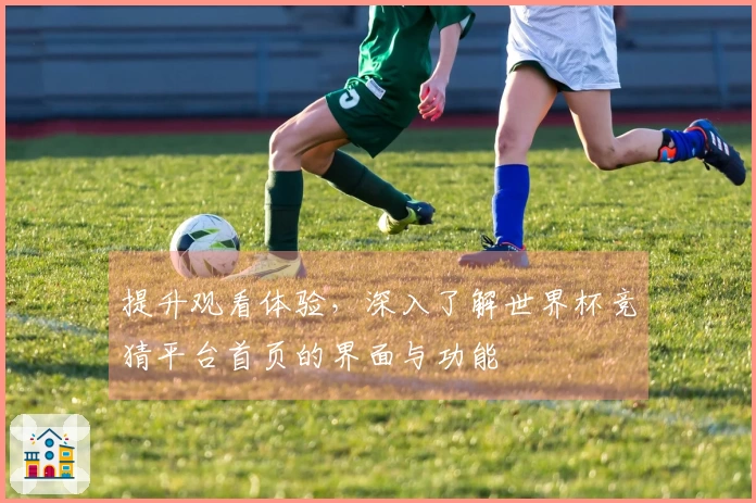 提升观看体验，深入了解世界杯竞猜平台首页的界面与功能