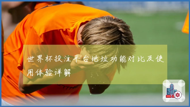 世界杯投注平台地址功能对比及使用体验详解