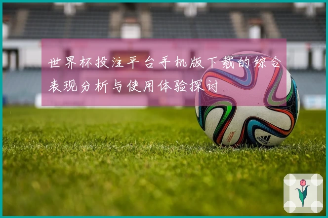 世界杯投注平台手机版下载的综合表现分析与使用体验探讨