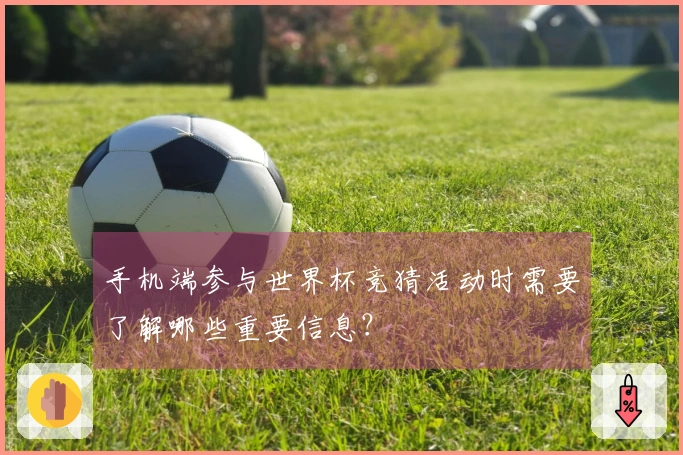 手机端参与世界杯竞猜活动时需要了解哪些重要信息？