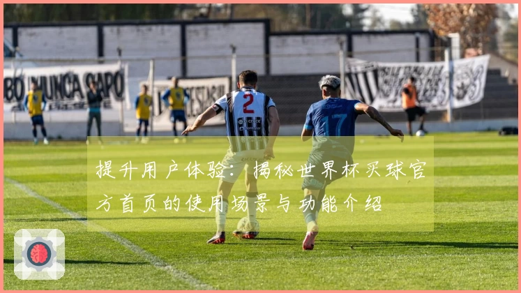 提升用户体验：揭秘世界杯买球官方首页的使用场景与功能介绍