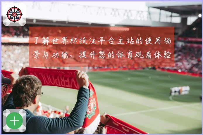 了解世界杯投注平台主站的使用场景与功能，提升您的体育观看体验