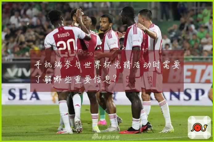 手机端参与世界杯竞猜活动时需要了解哪些重要信息?