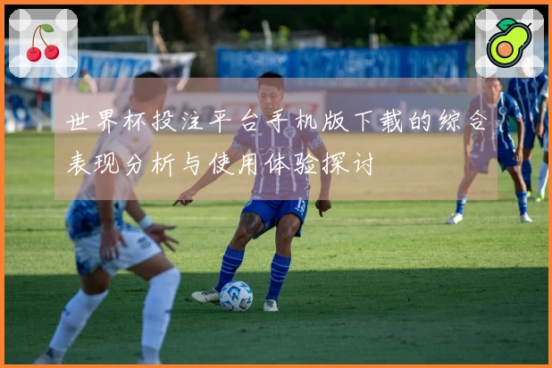 世界杯投注平台手机版下载的综合表现分析与使用体验探讨